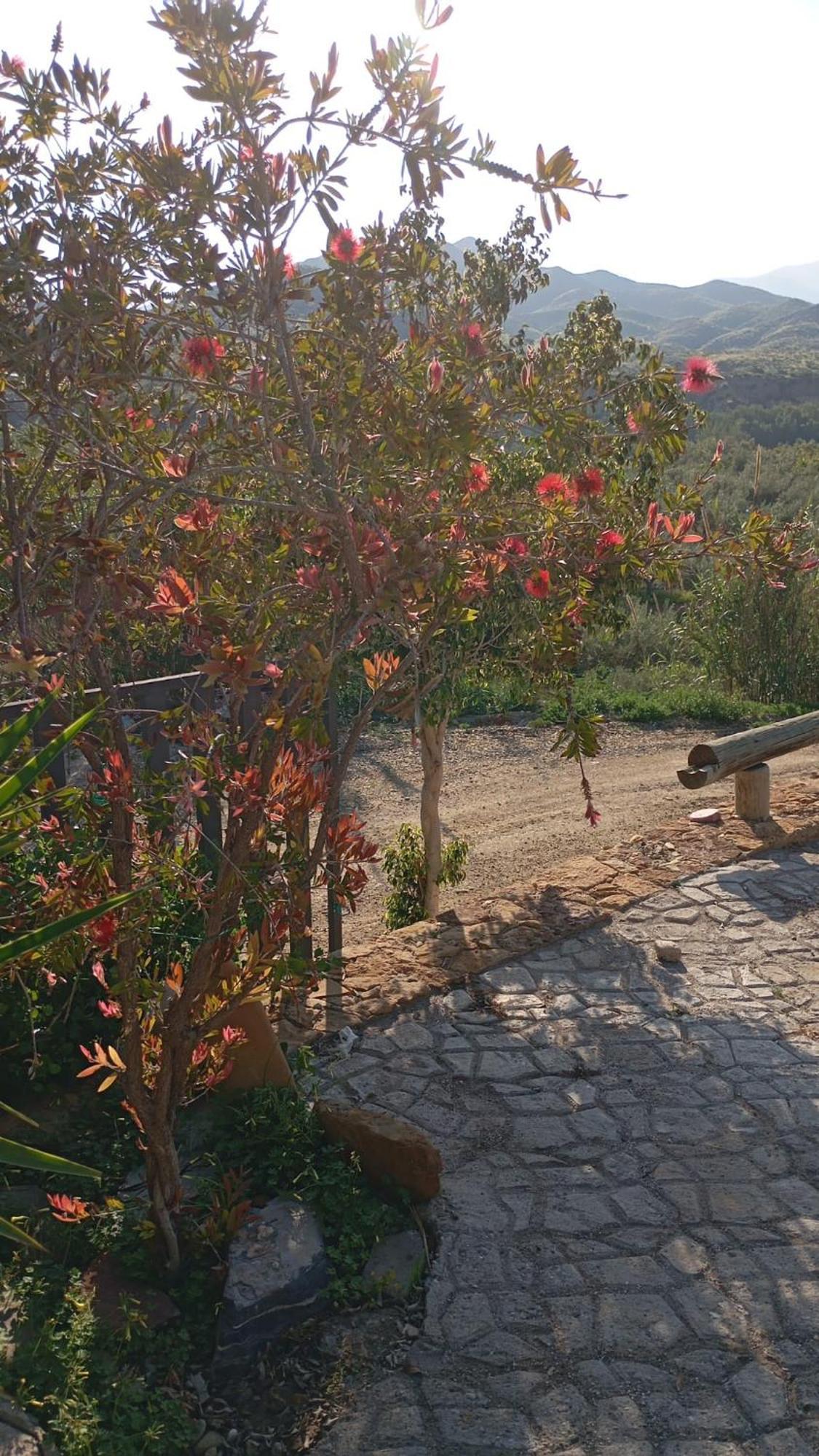 Cortijo Rural Molino El Tarahal Con Piscina Y Zonas Compartidas Extérieur photo